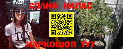 амф Обнинск